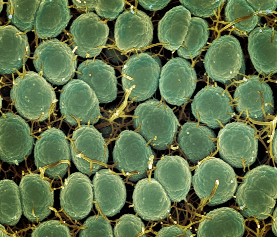 Bacterial Adhesion: How Microbes Stick to Surfaces