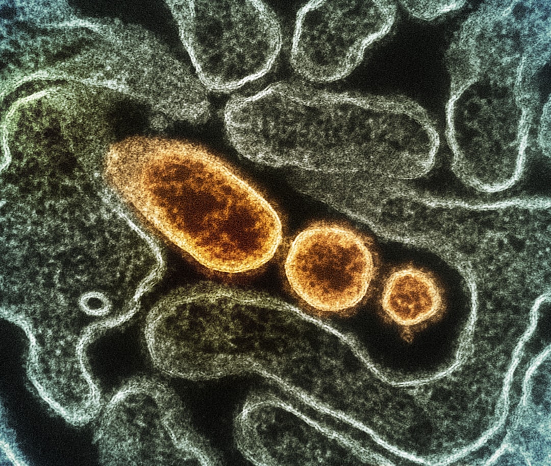 Bacterial Cell Division and Growth Rates