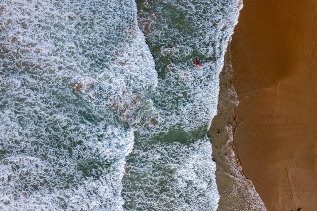 Bacterial Spores: The Ultimate Survival Mechanism