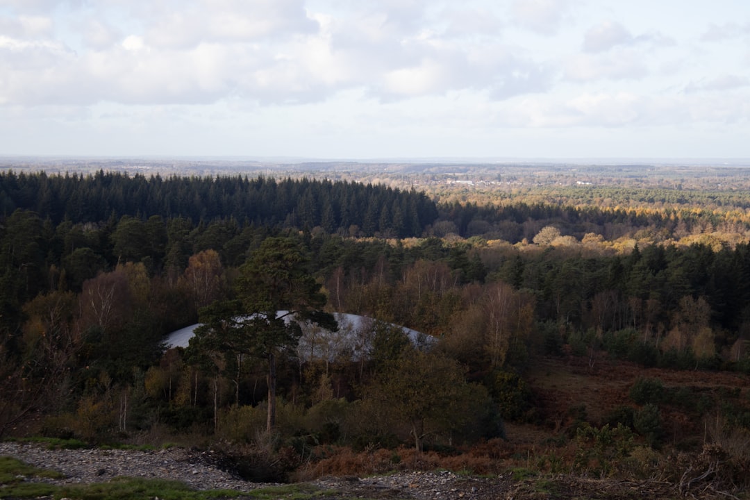 The Environmental Impact: Beyond Your Home