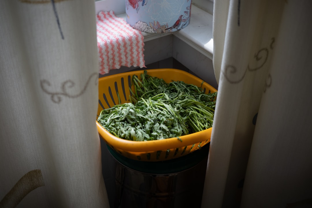 Garbage Can and Composting Area Hygiene