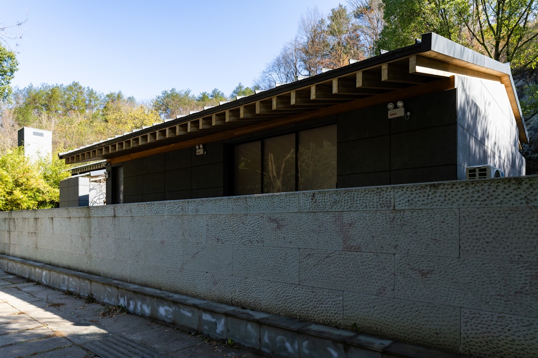 Getting Started with Probiotic Cleaning: A Beginner's Guide