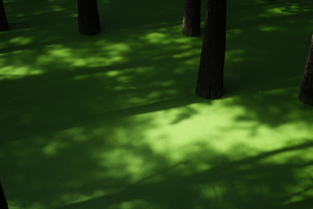 Lifecycle Assessment: Total Environmental Impact