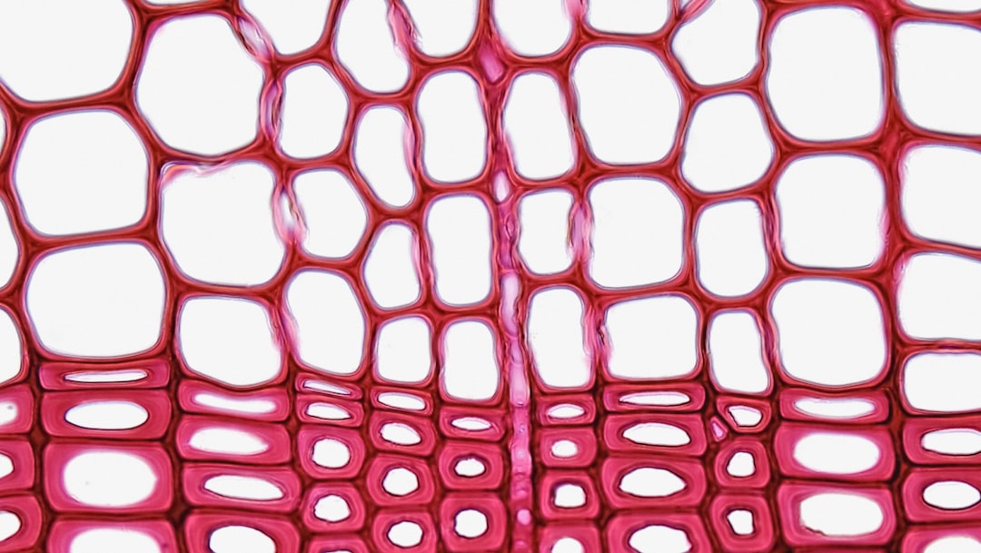 Osmotic Stress and Bacterial Survival