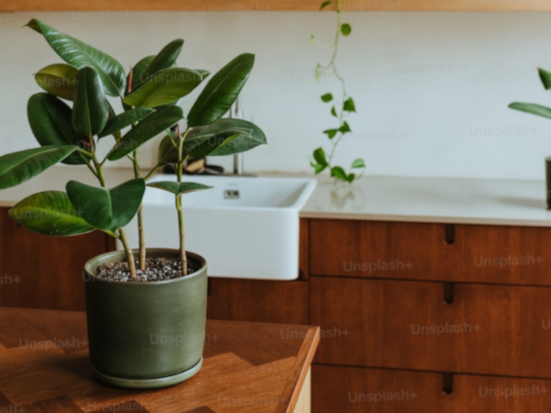 Natural cleaning products