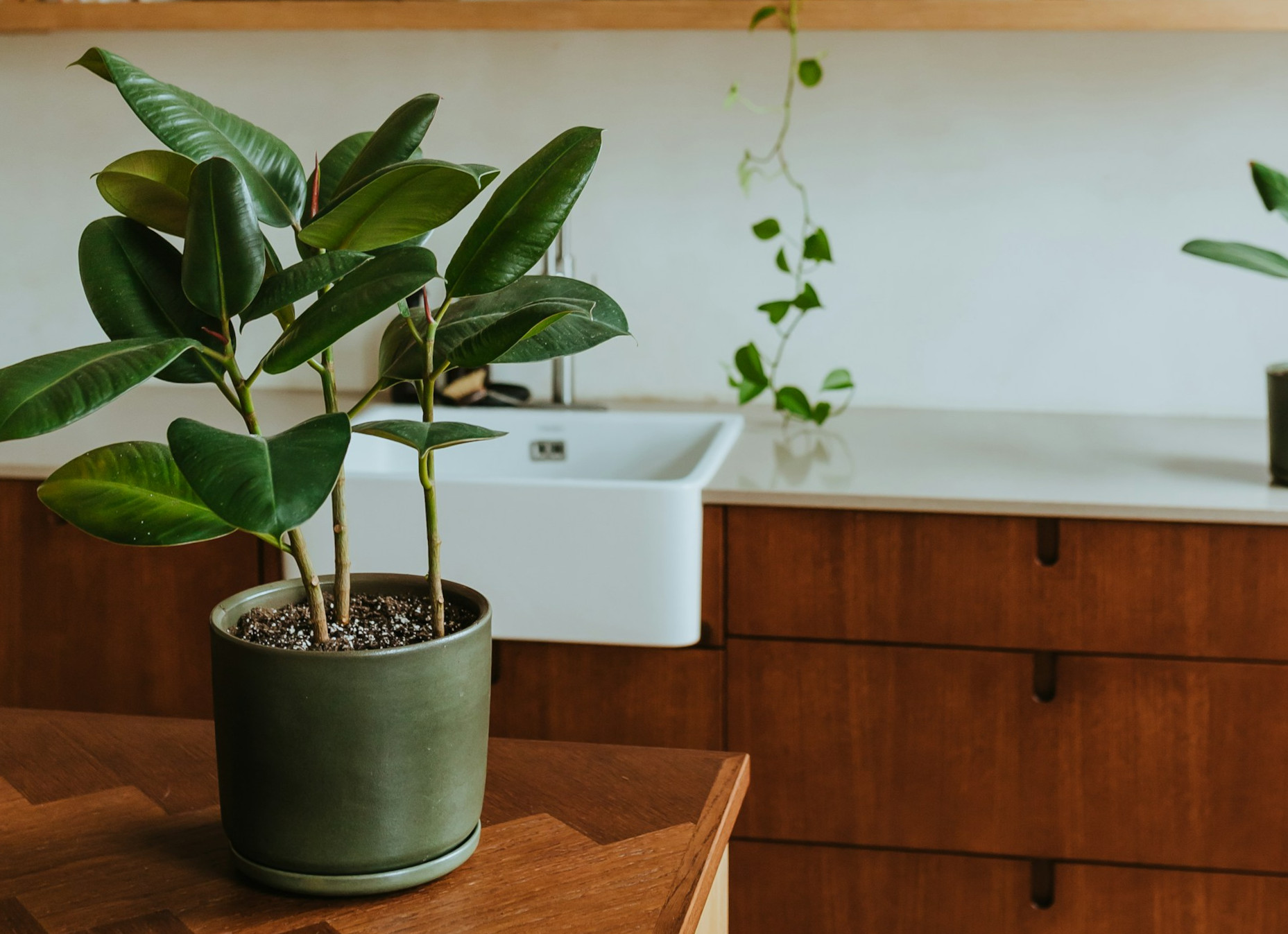 Natural cleaning products